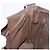 Borsa a Spalla GUCCI GG Canvas Nylon Outlet Marrone Oro 272351 Auth BA12428 D'oro - vista 19