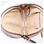 GUCCI Marmont Chain Shoulder Bag Leather Pink Gold white 699759 Auth ka4341SM Rosa Bianco D'oro - vista 28