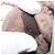 Céline Borsa a Spalla CELINE Mouton Brown Auth 178798A Marrone - vista 18