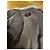 Autre Marque Camicia Eden Park da Uomo - Grigio - vista 7