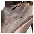 Borsa a Spalla GUCCI GG Supreme Web Sherry Line PVC Beige Oro Auth 179865 D'oro - vista 21