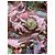 Diane Von Furstenberg DvF Oribel Seidenkleid Paradise-Print Braun Pink Blau Grün Lila - Ansicht 3