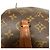 Borsa Louis Vuitton Papillon 26 Monogram Marrone - vista 9