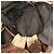 Borsa Loewe Nappa Aire Leather Brown and Gold Marrone D'oro - vista 5
