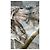 Zimmermann Vestido de seda estampado The Lovestruck Blanco Beige - vista 6