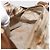Borsa a mano Salvatore Ferragamo in raso marrone e oro Auth bs35300 D'oro - vista 18