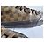 Louis Vuitton Sneakers Alte Damier Ebene Marrone - vista 3