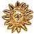 Spilla Sole Testa di Leone Placcata Oro Chanel Gold Gold Plated D'oro