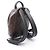 Zaino Louis Vuitton Palm Springs PM Marrone Nero - vista 2