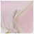 Zaino PRADA Nylon Rosa Argento Autentico 181159 - vista 18