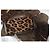 Just Cavalli Borsa Tote Trasparente Nera e Pochette Leopardata Nero Stampa leopardo - vista 10