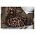 Just Cavalli Borsa Tote Trasparente Nera e Pochette Leopardata Nero Stampa leopardo - vista 8