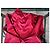 Guess Mono Bustier Rojo con Lazo Roja - vista 9