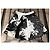 Falda de lino See by Chloé Estampado Floral y Animal Negro Blanco - vista 4