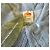 Farm Rio Giacca in denim con maniche a palloncino e colletto Peter Pan - vista 4