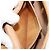 Borsa a Spalla GUCCI Micro GG Supreme PVC Beige Oro 004 58 0264 Auth BA12708 D'oro - vista 11