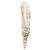 Alexander Mcqueen McQueen Oyster Draped Smashed Satin Midi-Kleid mit asymmetrischem Saum Beige - Ansicht 2