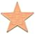 Spilla Chanel Star Coco Mark D'oro Arancione  - vista 1