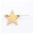 Spilla Chanel Star Coco Mark D'oro Arancione  - vista 2