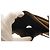 Cartera Dior Saddle Denim Cuero Khaki Castaño - vista 16