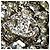 Chanel Camellia B13P Light Stone Ring Silber - Ansicht 7