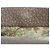 GUCCI GG Supreme Dice Case PVC Beige 662292 Auth 176770M - vista 11