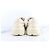 Gucci Sneakers Laiton Square Logo Bianco - vista 4