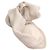 Sciarpa in seta Armani Collegioni Sand Beige Marrone - Ansicht 3