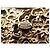 NEUE CHANEL BYZANCE METIERS D'ART 2011 BROCHE GLASPASTE GRIPOIX PERLE Golden - Ansicht 5
