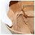 Borsa a tracolla GUCCI Micro GG Supreme PVC Beige Oro 001 261 4425 Auth ka4363 D'oro - vista 21
