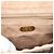 Borsa a tracolla GUCCI GG Plus Supreme PVC Beige Oro Auth 180728 D'oro - vista 17