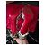 Christian Louboutin Pumps aus Pythonleder Python drucken - Ansicht 9