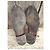 Autre Marque Marvin & Co Robert Oxford in pelle marrone - vista 5