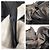 Borsa 2way in nylon Tessuto Saffiano e pelle Prada Nero - vista 6