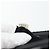 BALENCIAGA Handtasche Canvas Grau Silber Auth BA12932 Braun - Ansicht 12