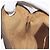 Borsa Sherry Line GG Supreme Web di GUCCI in PVC beige e oro 904 02 047 Auth 180234 D'oro - vista 23