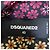 Autre Marque Camicetta trasparente con stampa floreale Dsquared2 Porpora - vista 9