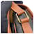 Céline Borsa a tracolla Celine Medium Folco Triomphe Marrone  - vista 13