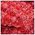 Wallet On Chain Portafoglio con catena Chanel Red Quilted Tweed Reissue 2.55 Rosso - vista 13