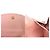 Cartera Louis Vuitton Rosalie Damier Castaño - vista 10