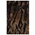 Saint Laurent, sciarpa con stampa tigre Marrone - vista 2