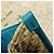 Gucci ME MYSELF & I Strohtasche Beige - Ansicht 17