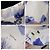Roberto Cavalli Floral Midi Skirt - Garden Party Style White Blue - view 9