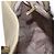 Borsa a tracolla Salvatore Ferragamo Gancini in tela beige e argento Auth BA13175 - vista 24