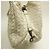 Borsa a Spalla Bottega Veneta Intrecciato Crudo - vista 13