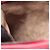 Borsa Hobo Intrecciato Bottega Veneta Rosa Rosso - vista 5
