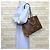 Borsa Tote Louis Vuitton OnTheGo MM Monogram Giant Marrone - vista 2