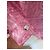 Etro Camisa Rosa Estampado Paisley - vista 3