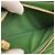 Louis Vuitton M82642 Coussin Zippy Wallet Blu Verde - vista 5