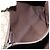 GUCCI GG Supreme Web Sherry Line Bag PVC Beige Silver 145844 Auth ti3927 Silvery - view 24
